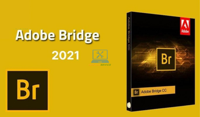 Hướng dẫn cài đặt Bridge 2021 Full Crack