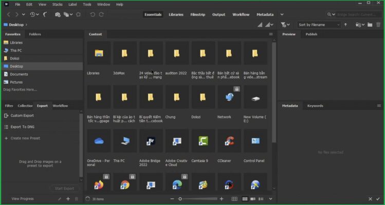 Adobe Bridge 2022