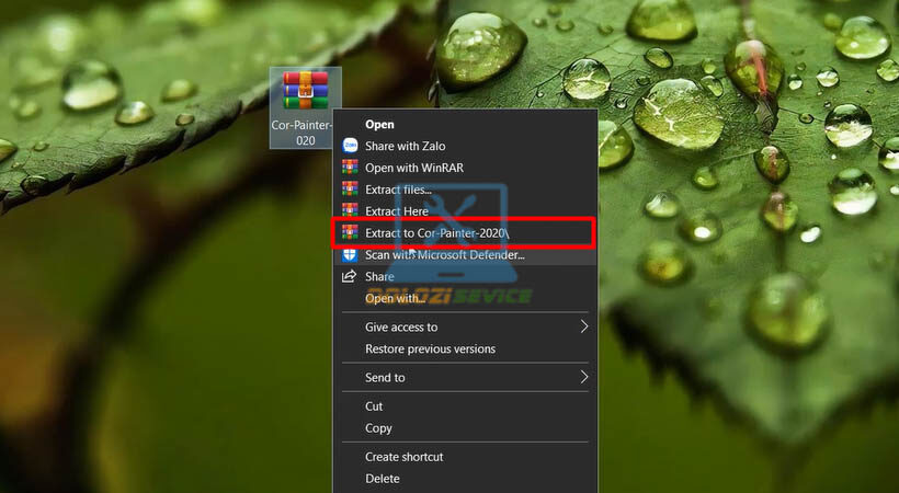 Corel Painter-2020