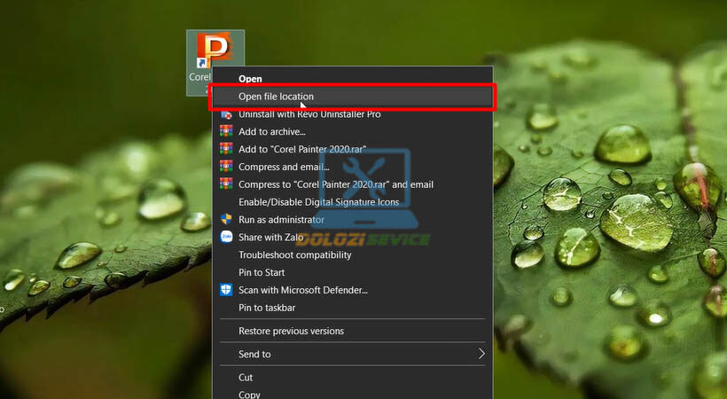 Corel Painter-2020