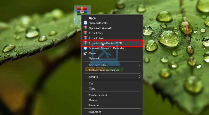Corel Painter-2021