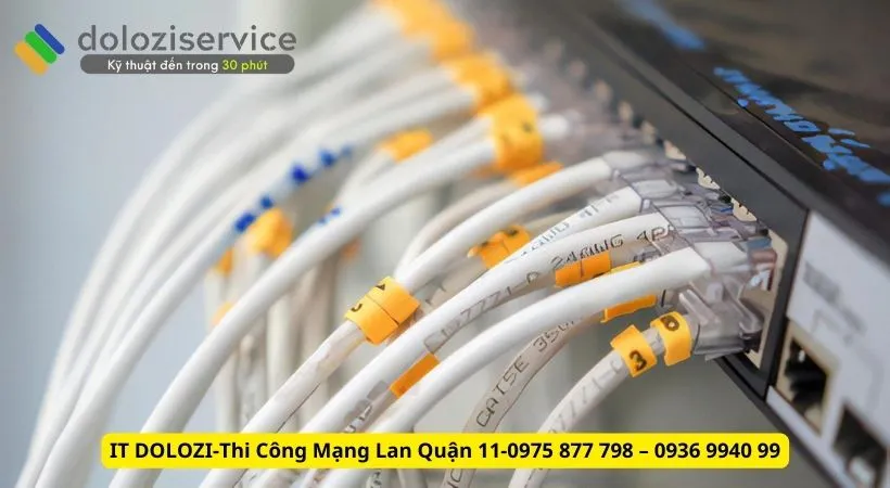 thi công mạng LAN quận 11