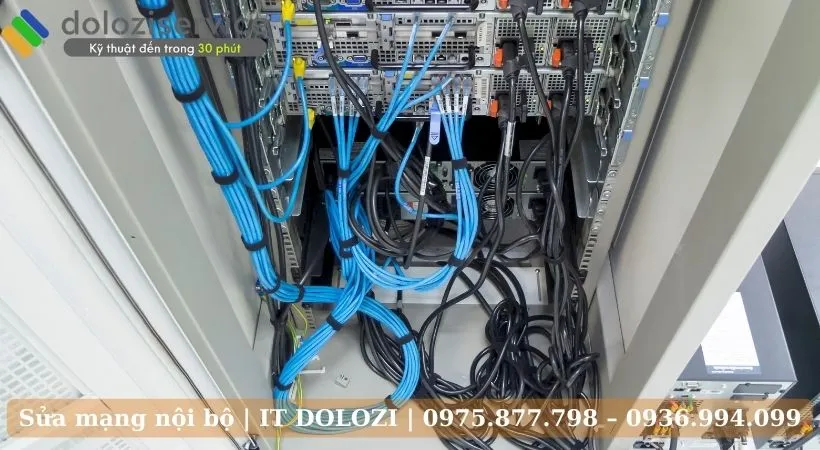 Cam kết khi sửa dụng dịch vụ tại IT DOLOZI.
