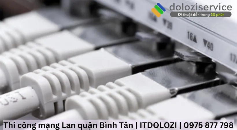 Những thương hiệu mạng nào sử dụng phổ biến tại Bình Tân?
